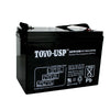 TOYO 6 Volt 190 Ah (3GFM190M) SLA Battery