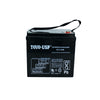 TOYO 6 Volt 200 Ah (3GFM200-GC2) SLA Battery